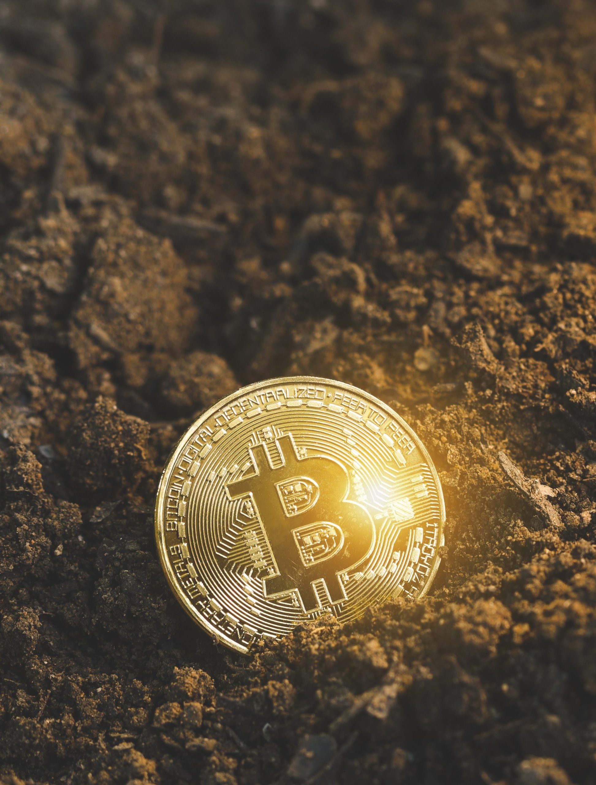 bitcoin in the dirt